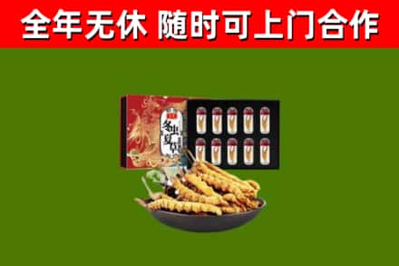 栖霞回收冬虫夏草价格
