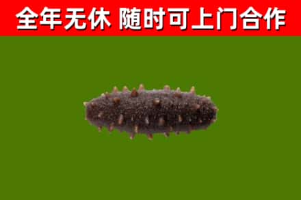 栖霞烟酒回收干海参.jpg